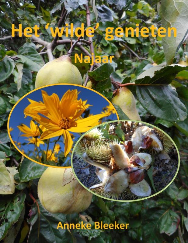 Omslag van Het wilde genieten - Najaar