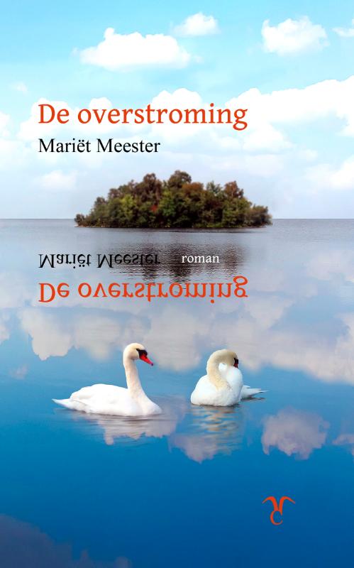 Omslag van De overstroming