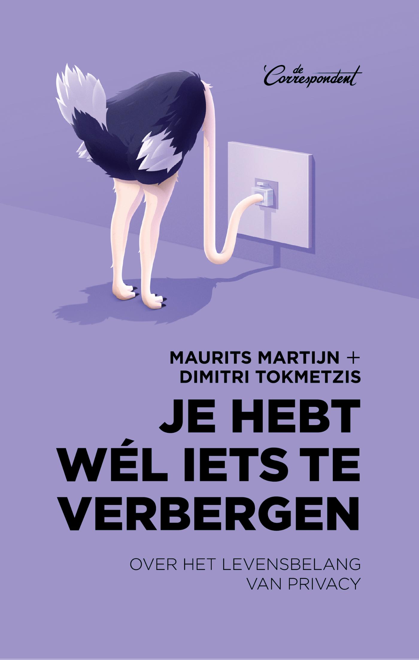 Omslag van Je hebt wél iets te verbergen