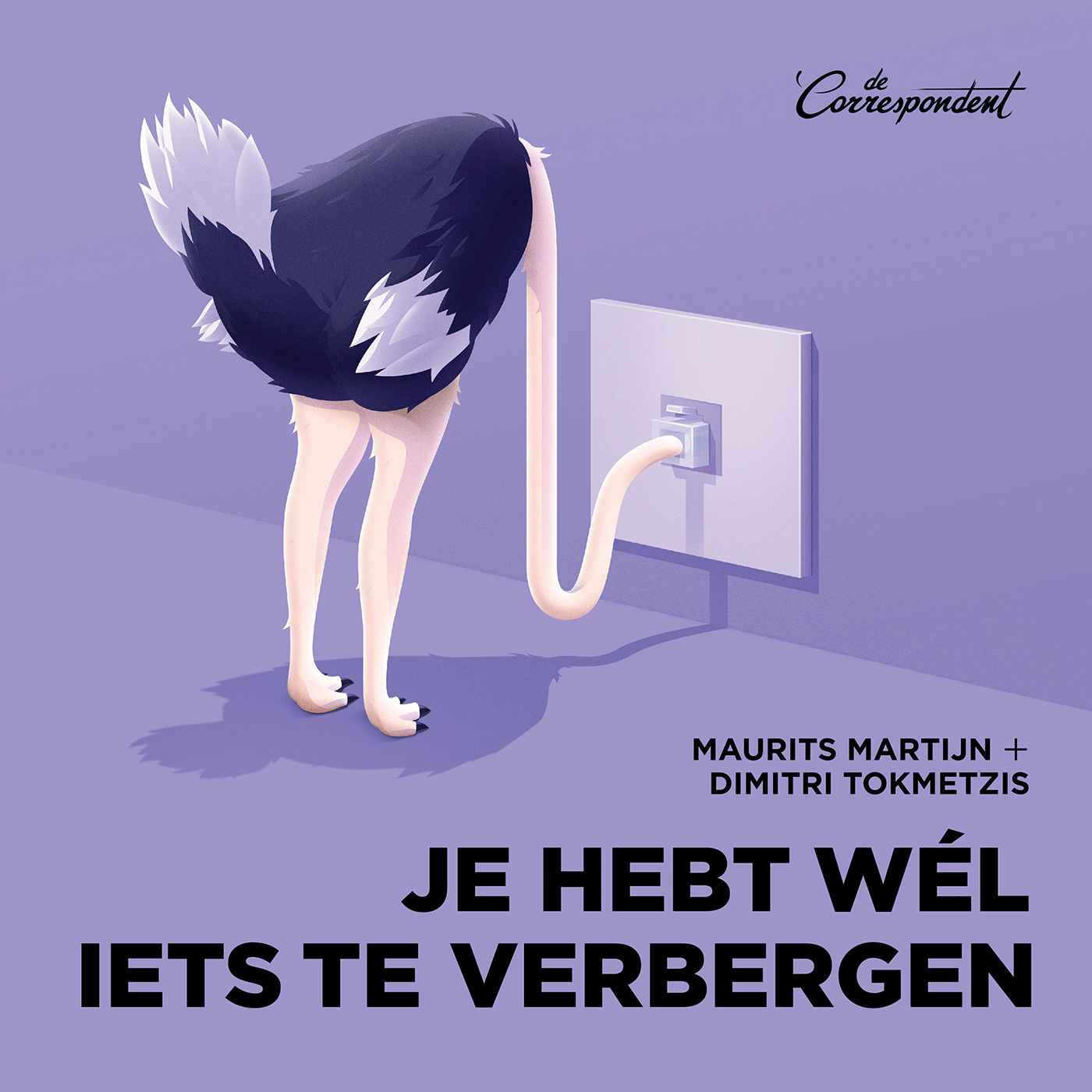 Omslag van Je hebt wél iets te verbergen