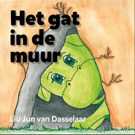 Omslag van Het Gat in de Muur