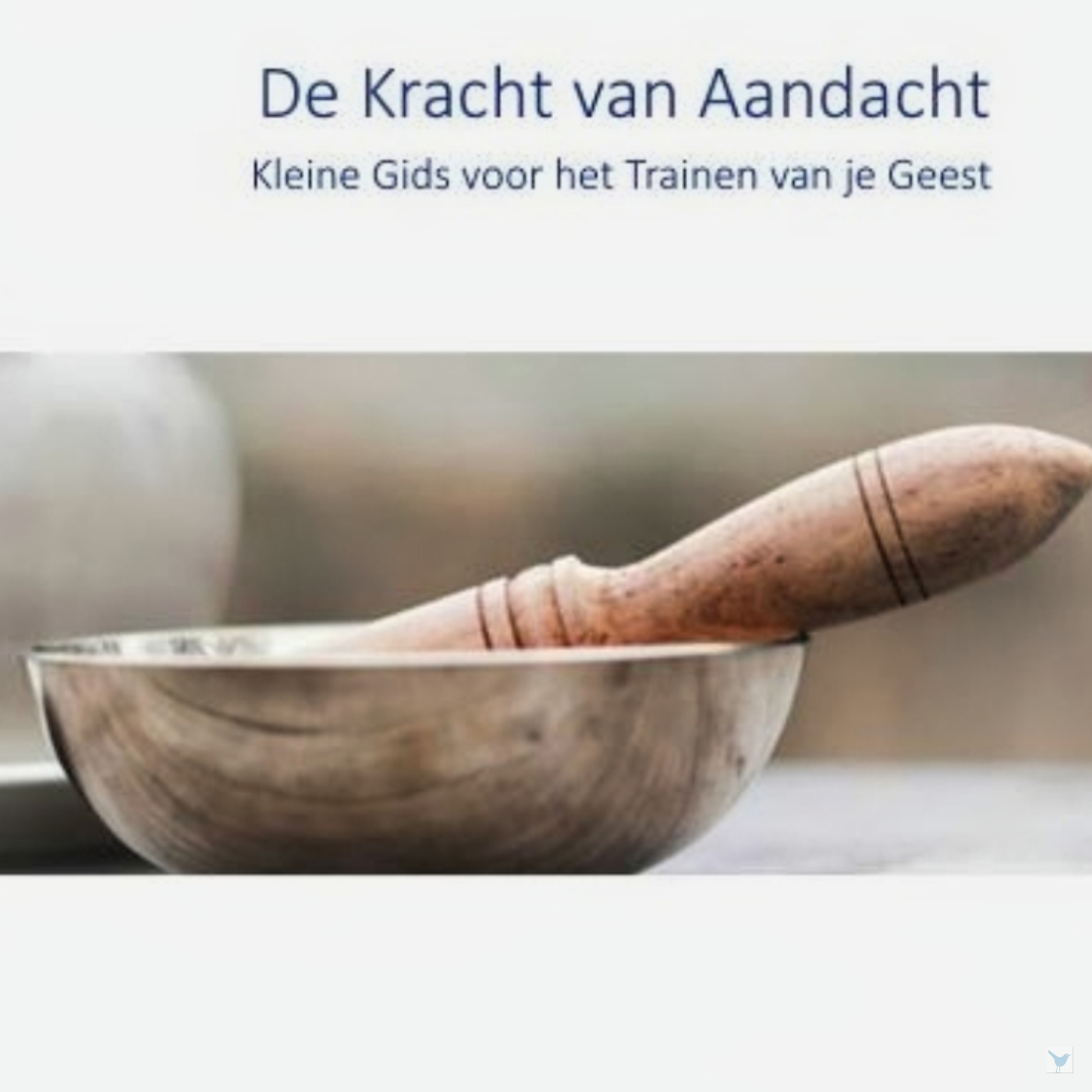 Omslag van De kracht van aandacht