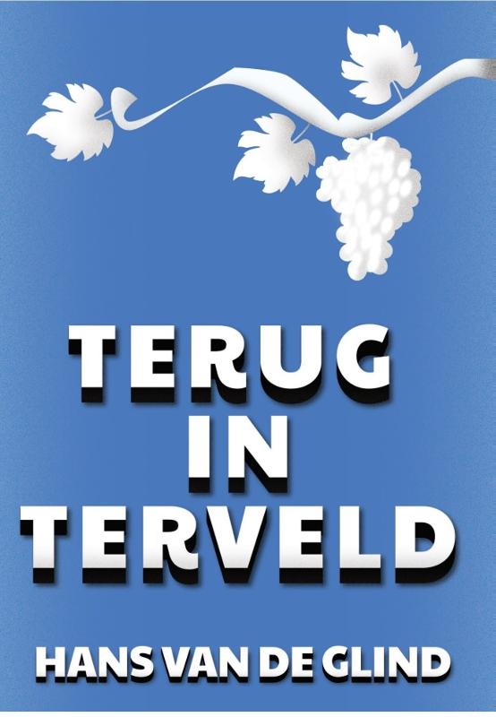 Omslag van Terug in Terveld