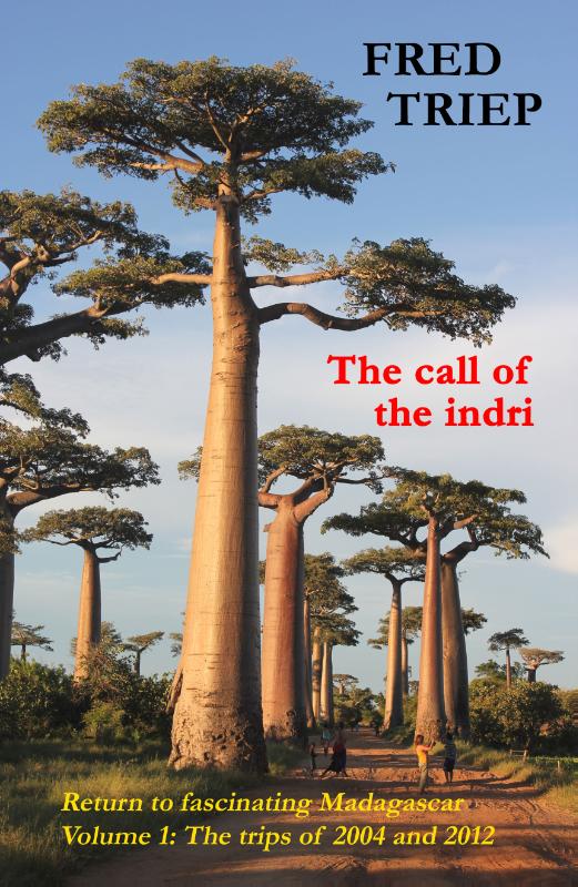 Omslag van The call of the indri, volume 1