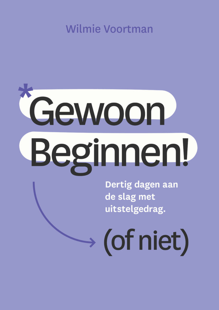 Omslag van Gewoon Beginnen (of niet)