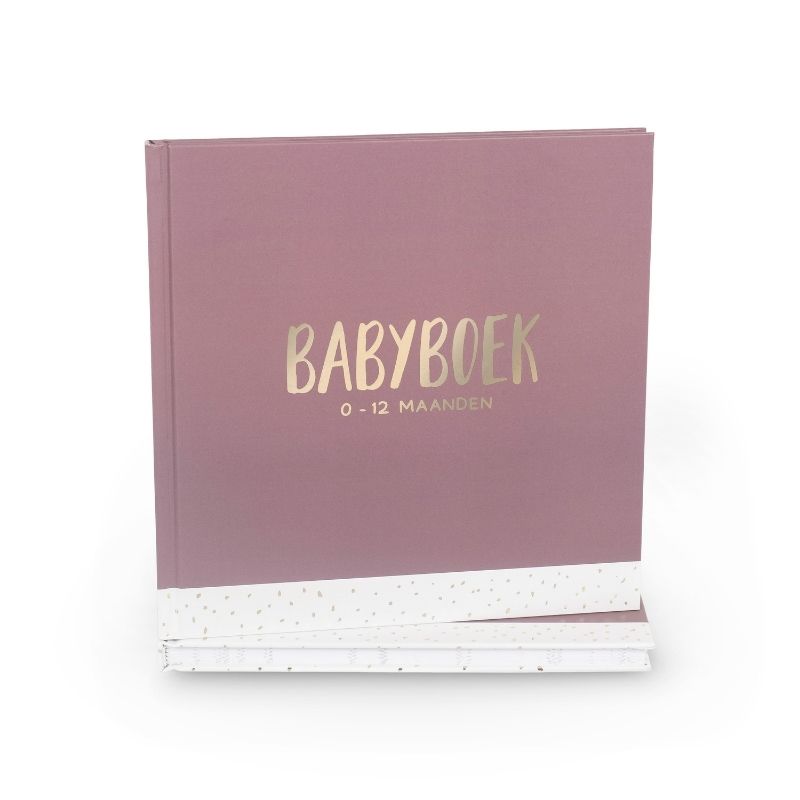 Omslag van Babyboek 0-12 maanden