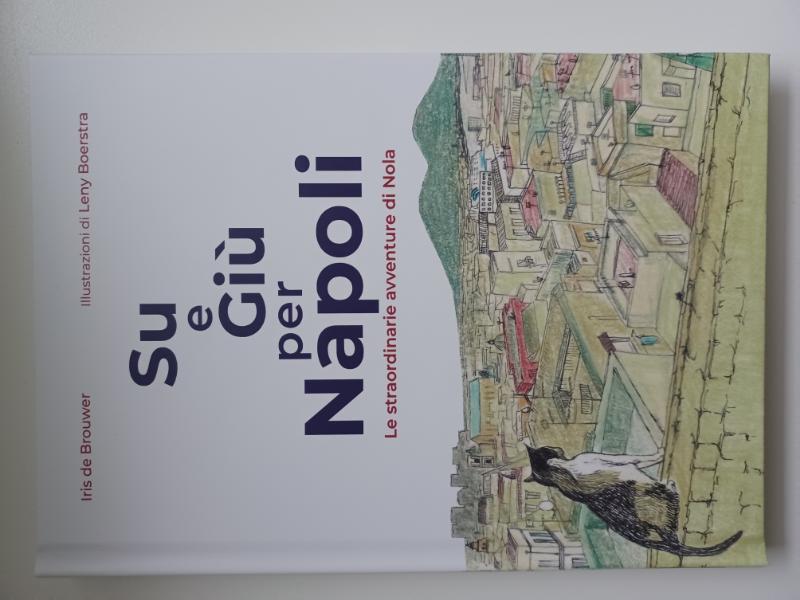 Omslag van Su e giu per Napoli