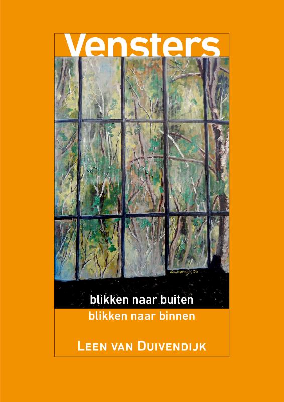 Omslag van Vensters