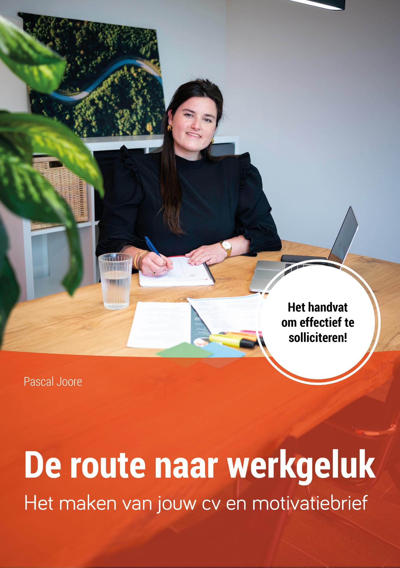 Omslag van Het maken van jouw cv en motivatiebrief