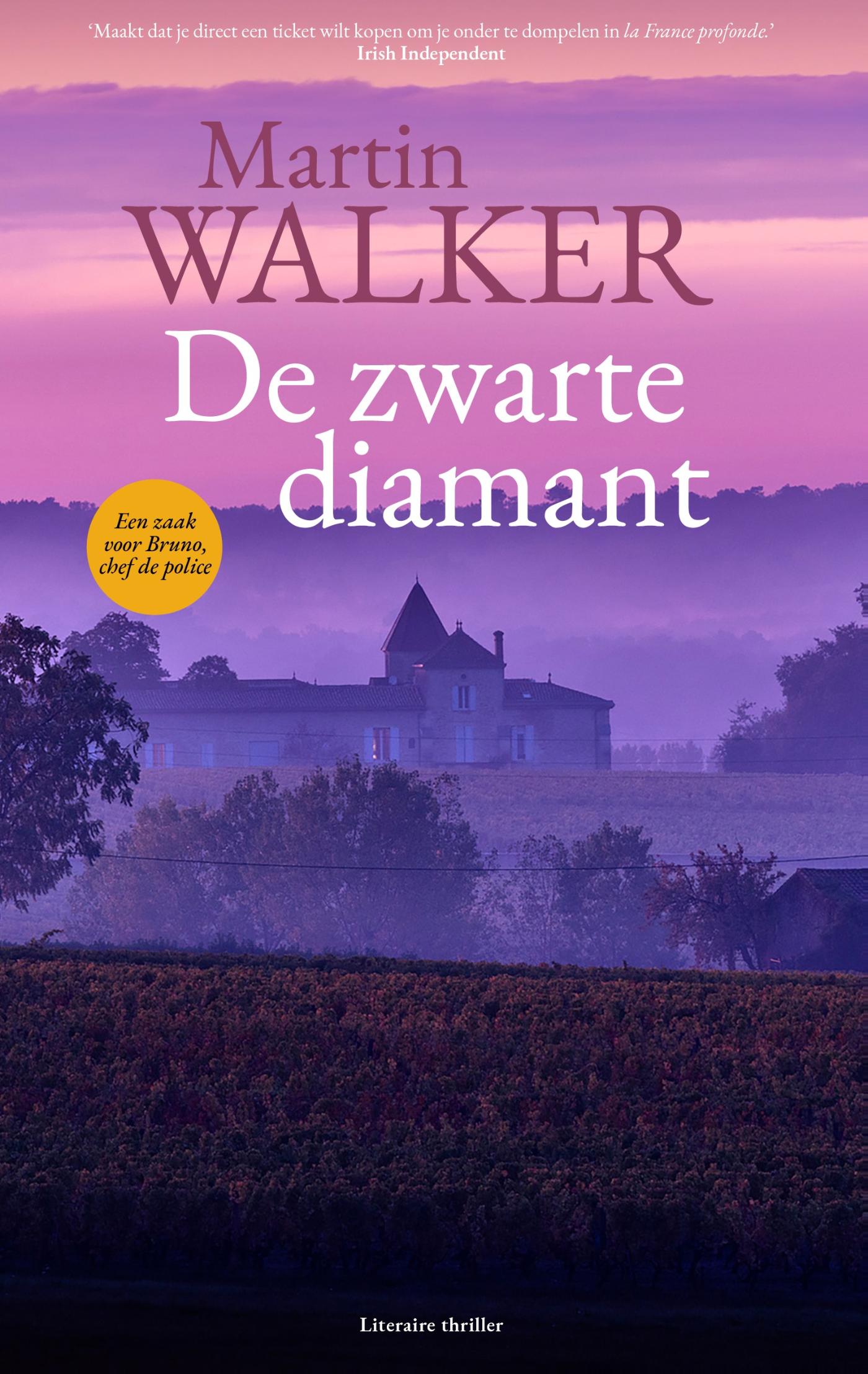 Omslag van De zwarte diamant