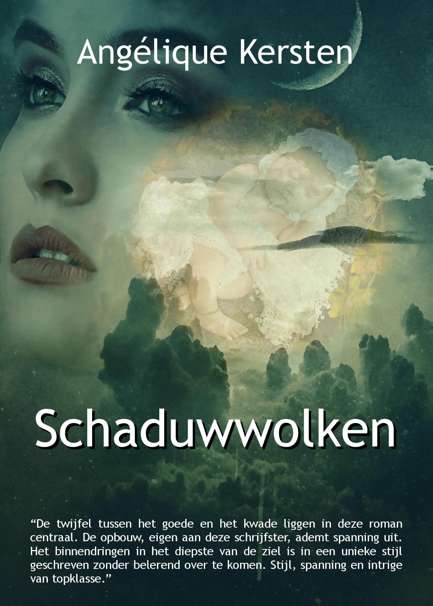 Omslag van Schaduwwolken