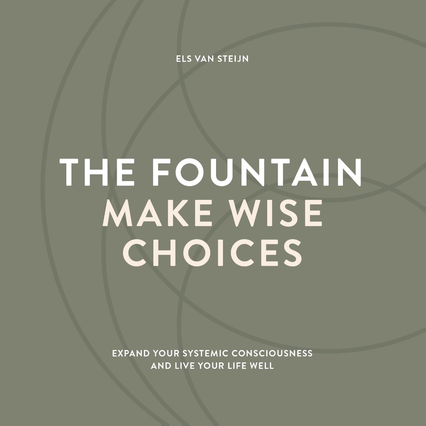 Omslag van The fountain, make wise choices