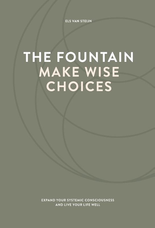 Omslag van The fountain, make wise choices
