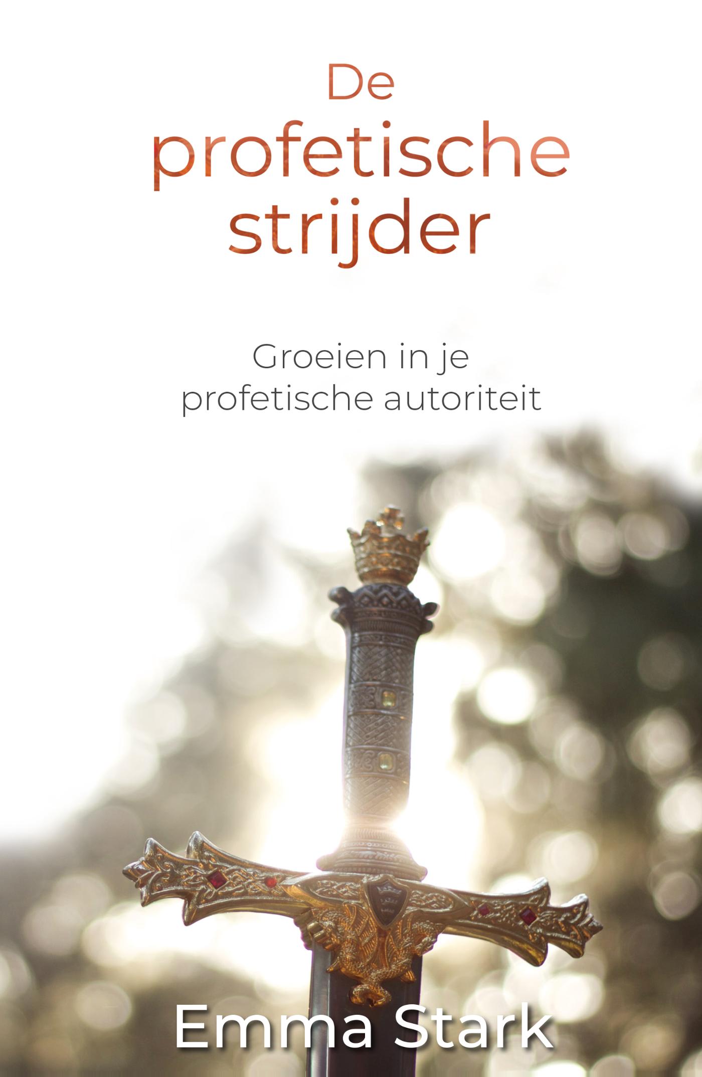 Omslag van De profetische strijder