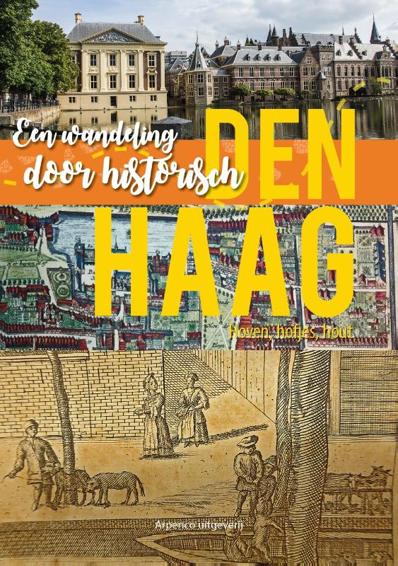 Omslag van Een wandeling door historisch Den Haag