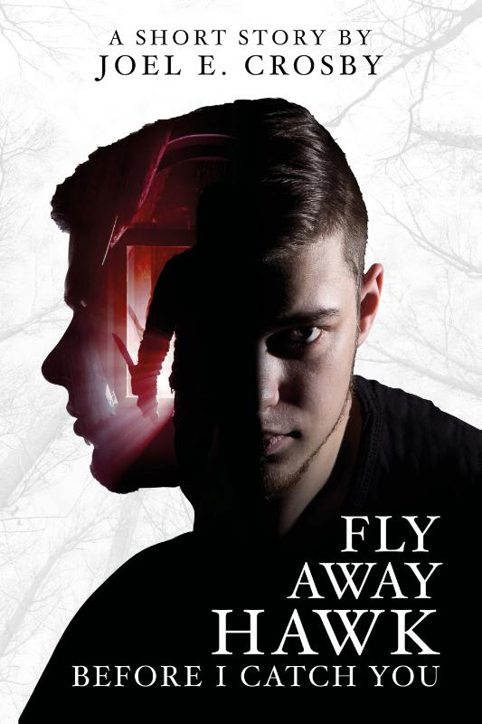 Omslag van Fly Away Hawk, Before I Catch You