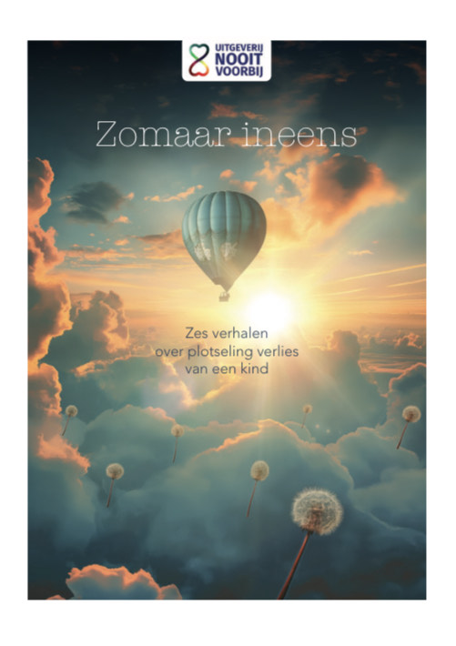 Omslag van Zomaar ineens