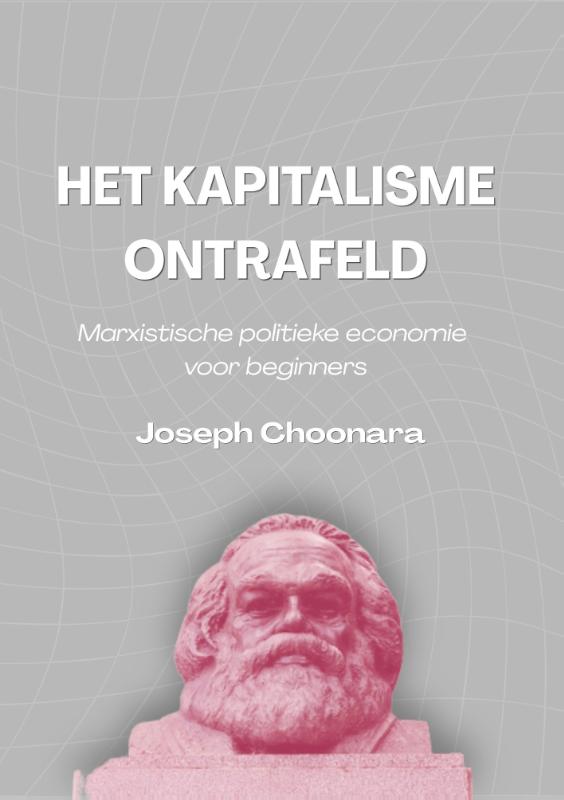 Omslag van Kapitalisme ontrafeld - Marxistische politieke economie voor beginners