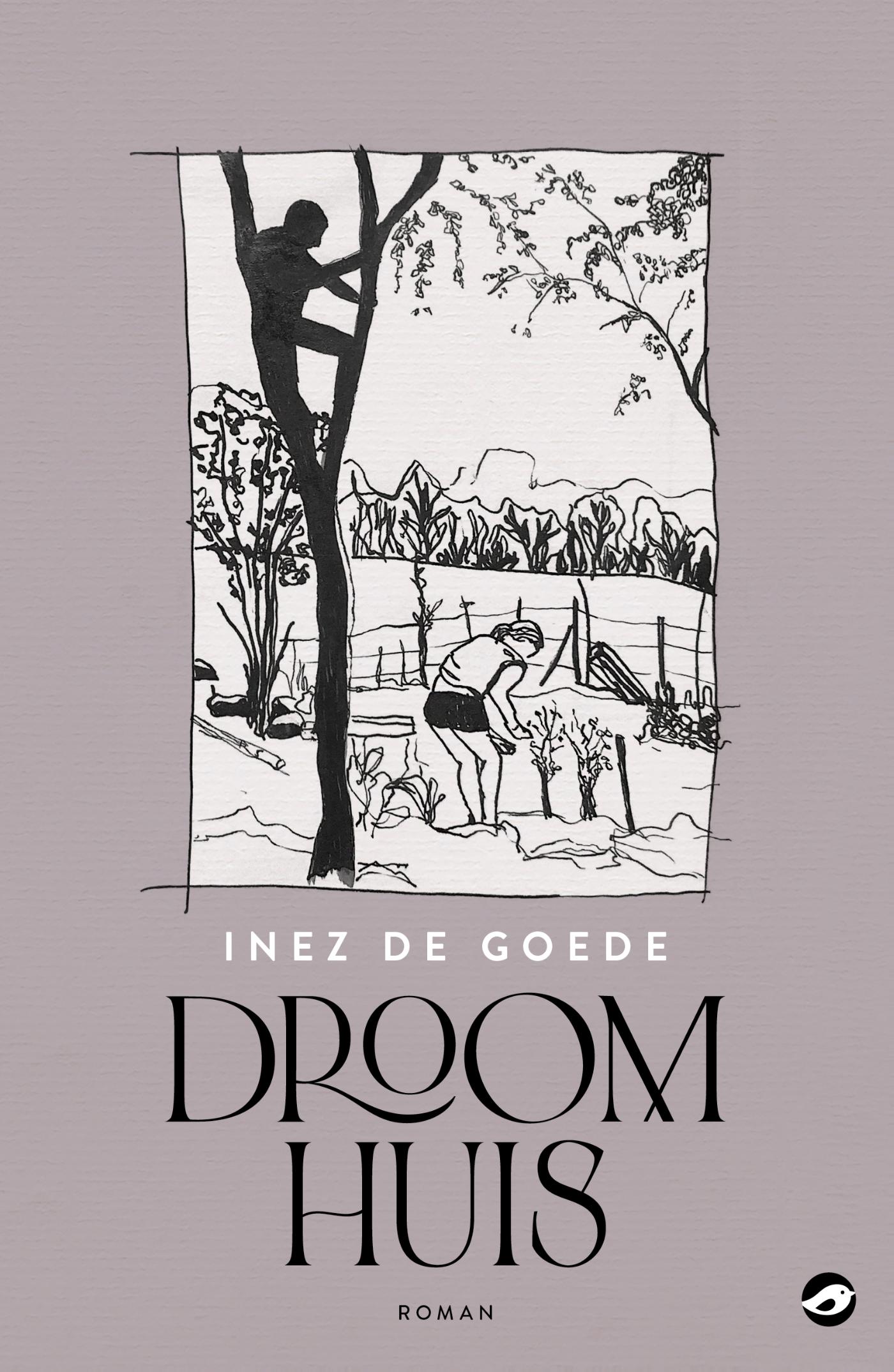 Omslag van Droomhuis