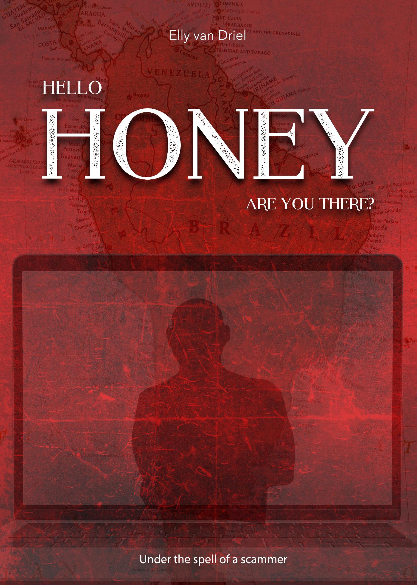 Omslag van Hello honey, are you there?