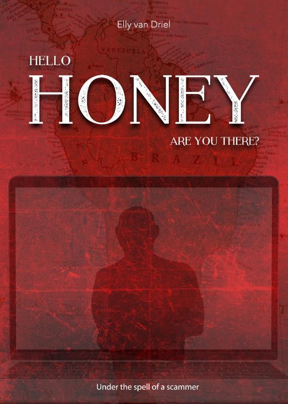 Omslag van Hello honey, are you there?