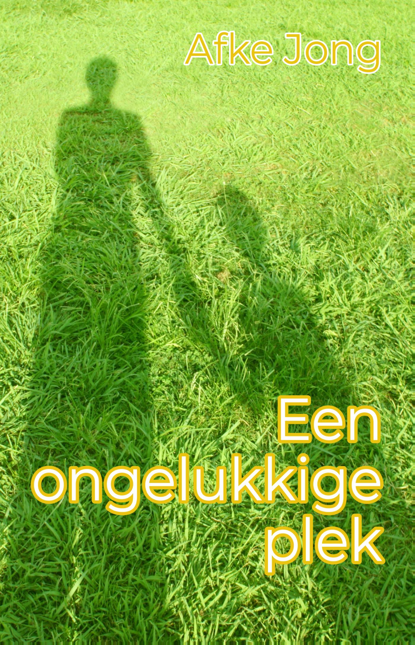 Omslag van Een ongelukkige plek