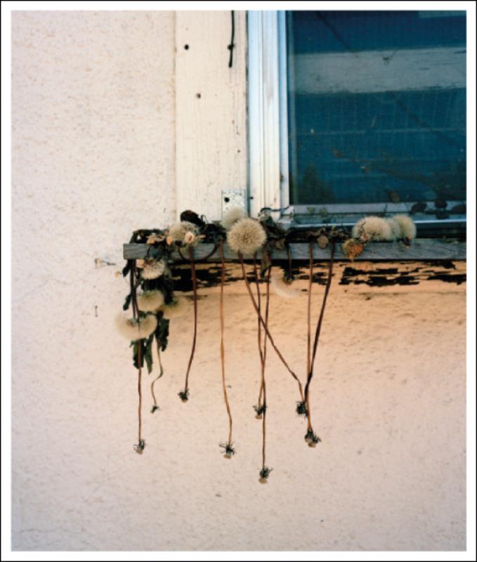 Omslag van Stick Holding Branch