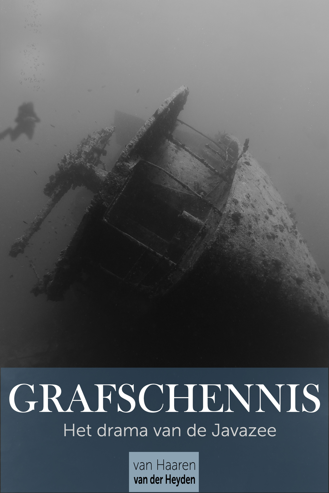 Omslag van Grafschennis