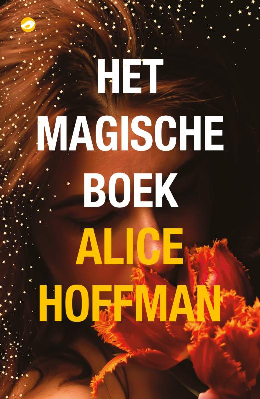 Omslag van Het magische boek