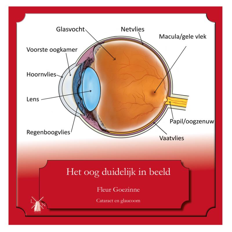 Omslag van Het oog duidelijk in beeld