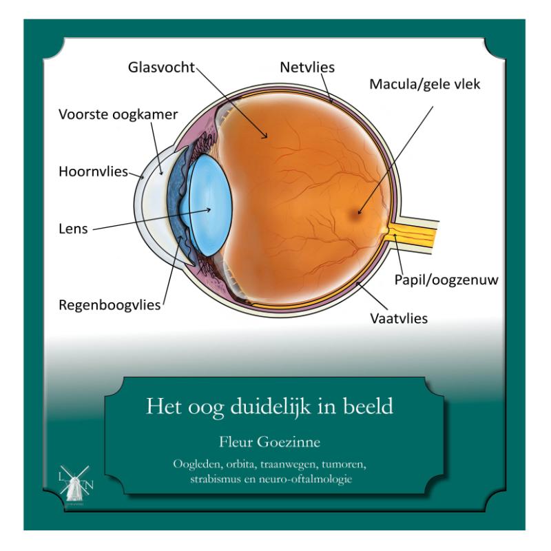 Omslag van Het oog duidelijk in beeld