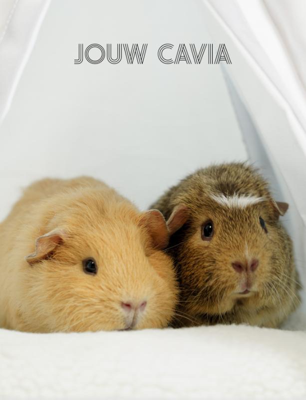 Omslag van Jouw Cavia