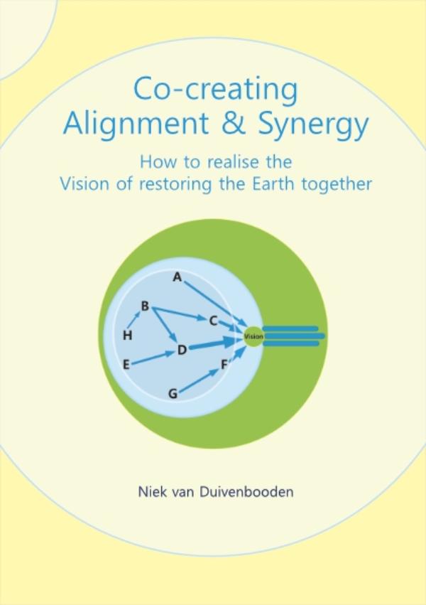Omslag van Co-creating Alignment and Synergy