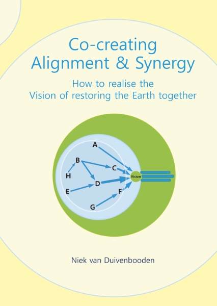 Omslag van Co-creating Alignment & Synergy
