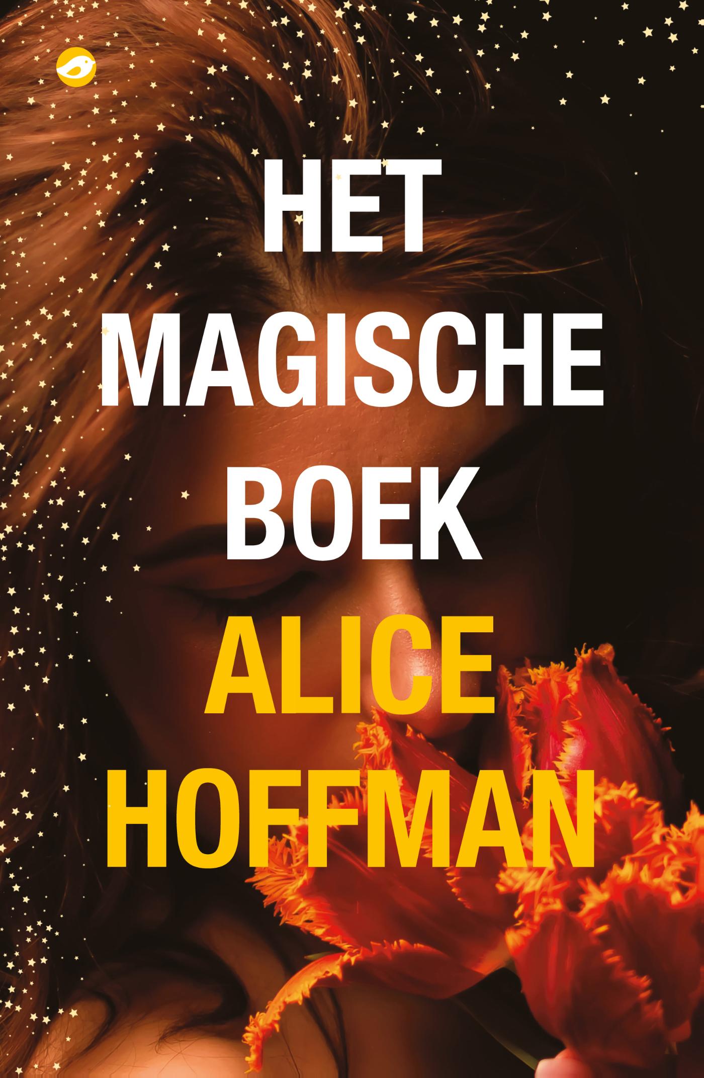 Omslag van Het magische boek