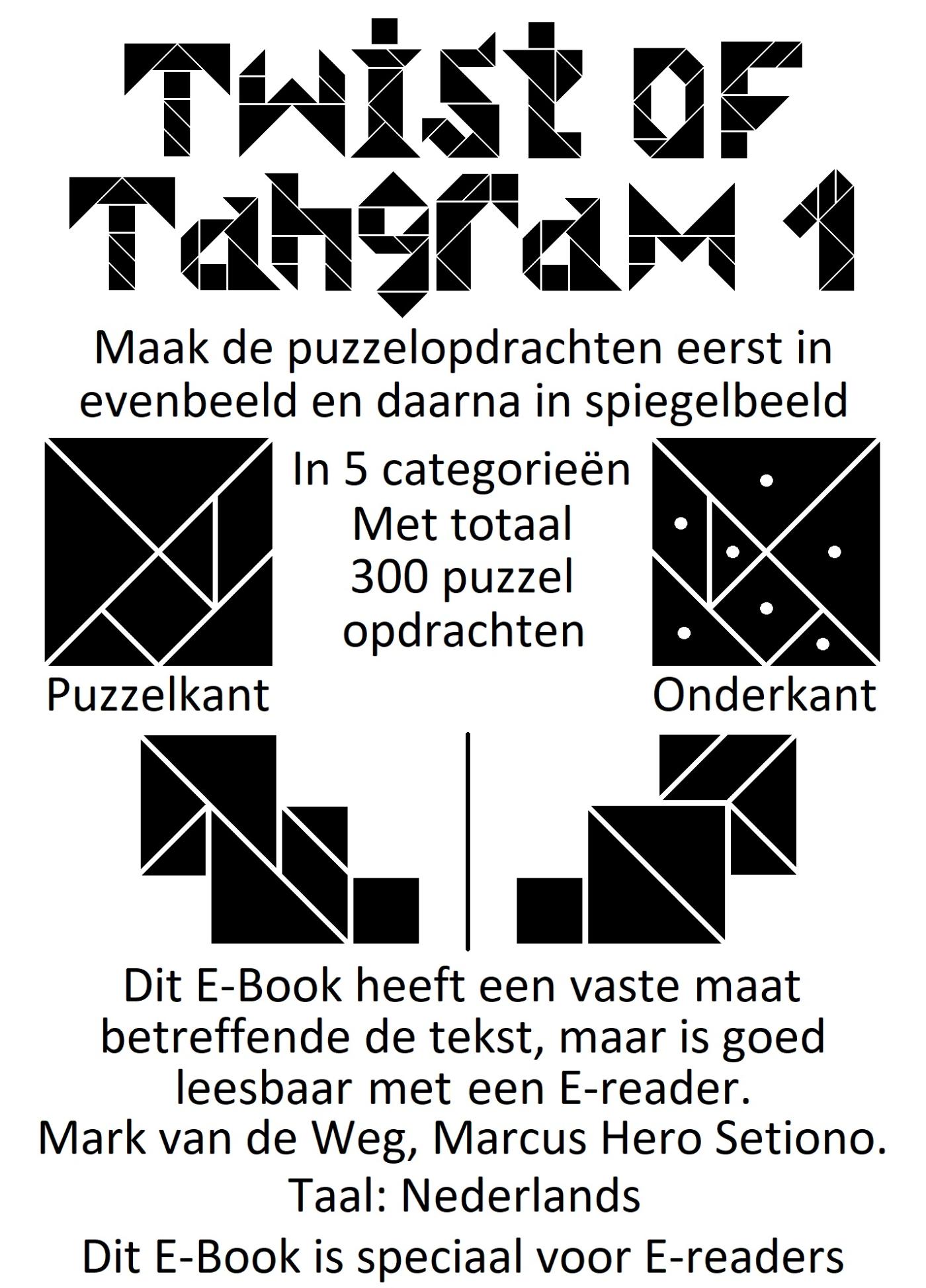 Omslag van Twist of Tangram 1