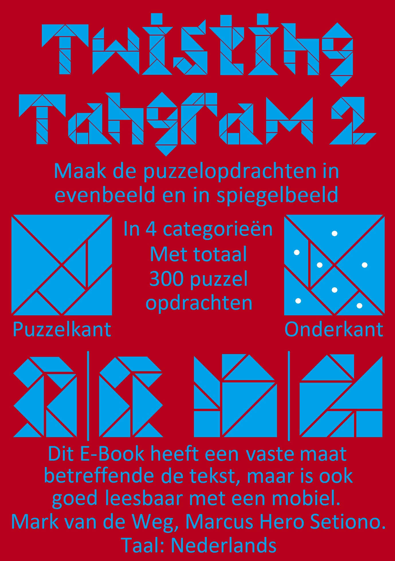 Omslag van Twisting Tangram 2