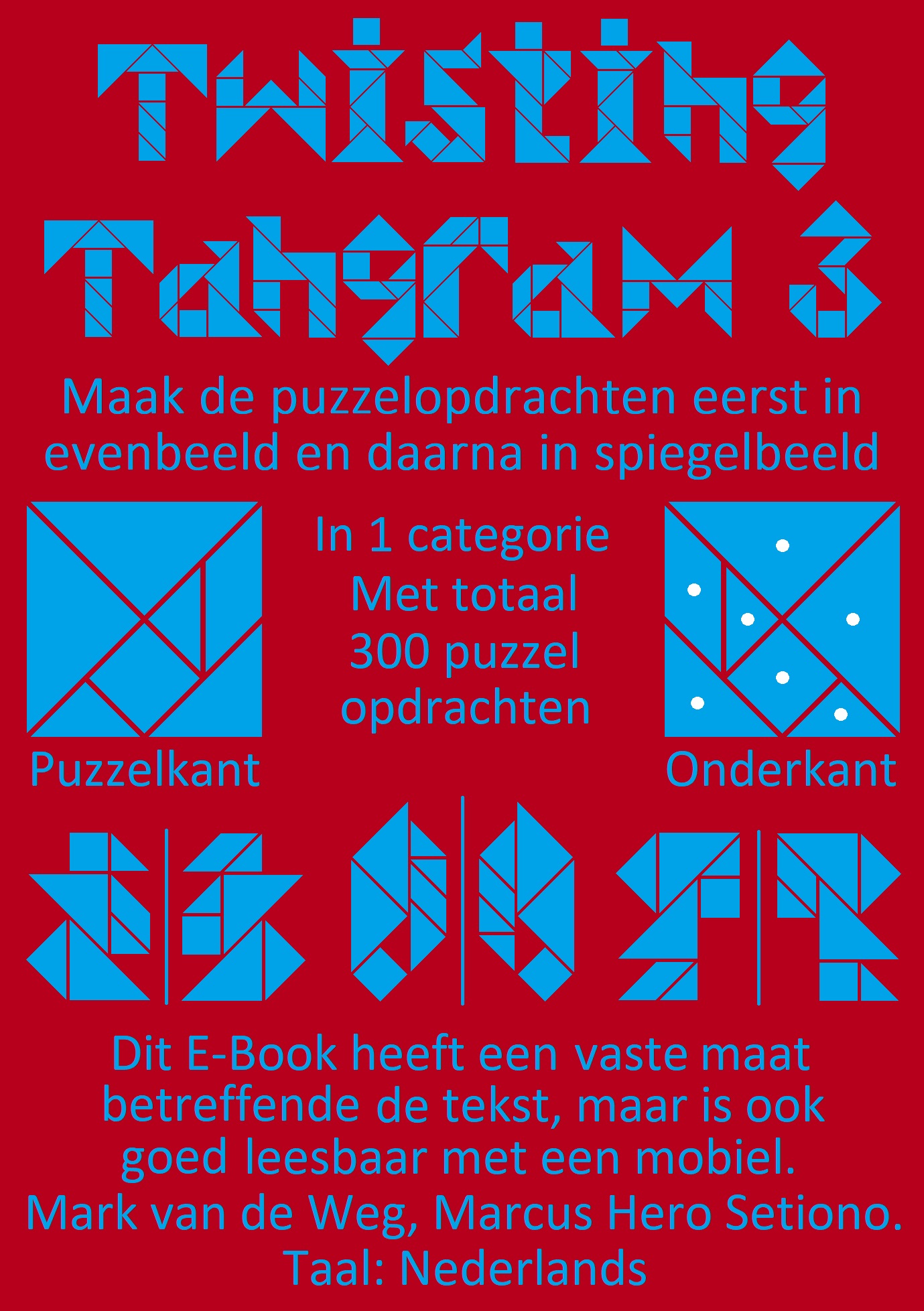 Omslag van Twisting Tangram 3