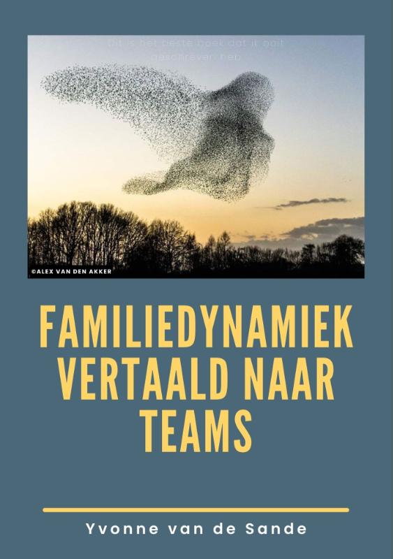 Omslag van Familiedynamiek vertaald naar teams