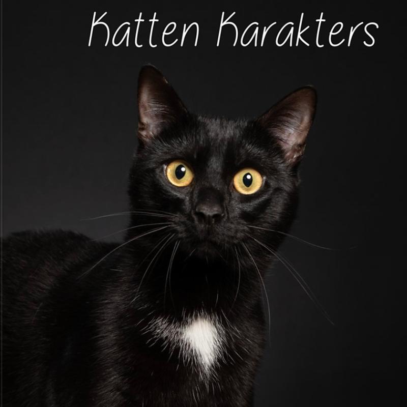 Omslag van Katten Karakters