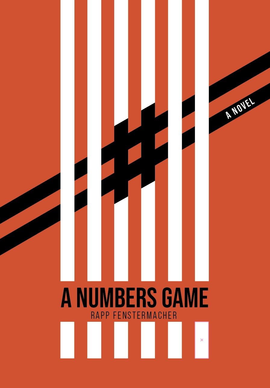 Omslag van A Numbers Game