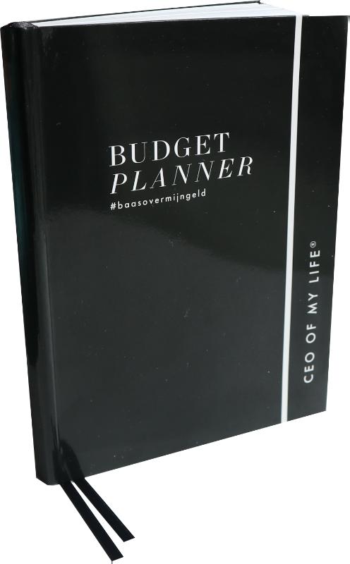 Omslag van Budgetplanner