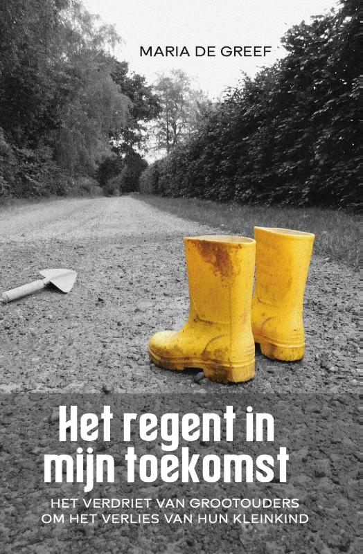 Omslag van Het regent in mijn toekomst