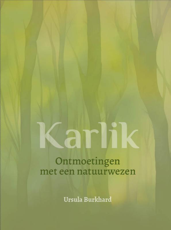 Omslag van Karlik