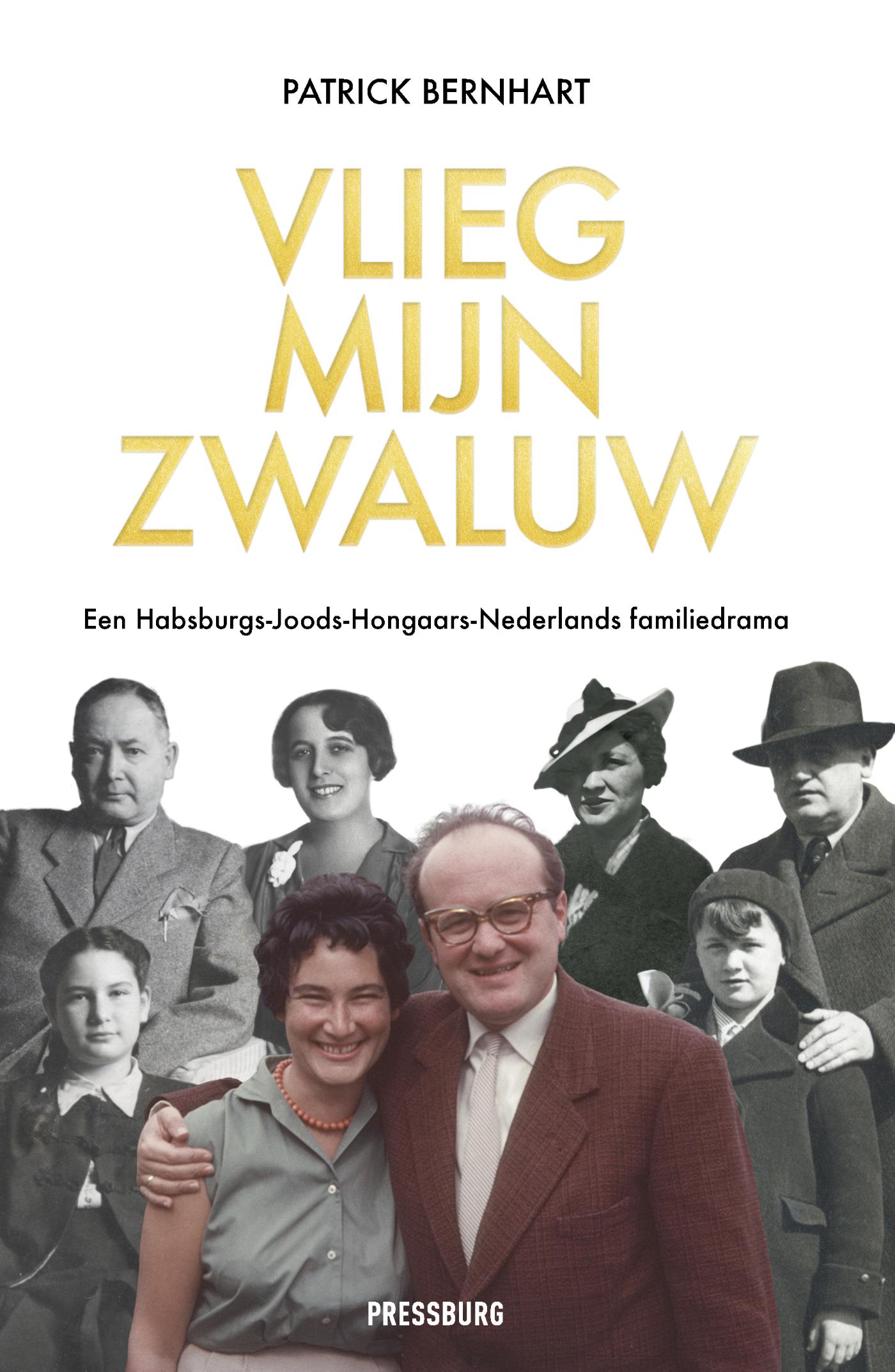 Omslag van Vlieg, mijn zwaluw