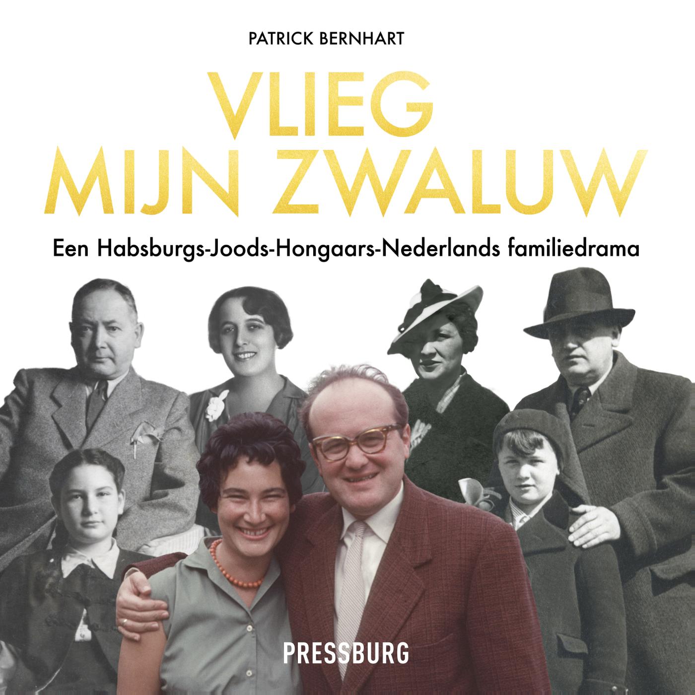 Omslag van Vlieg, mijn zwaluw