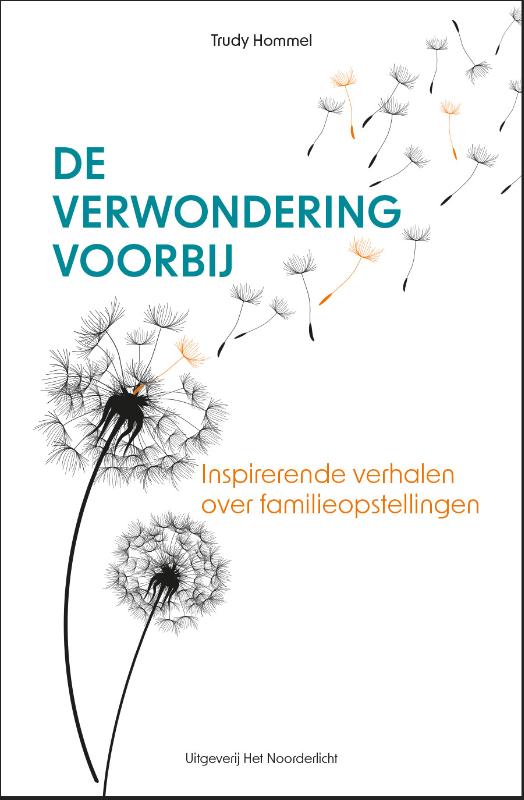 Omslag van De verwondering voorbij