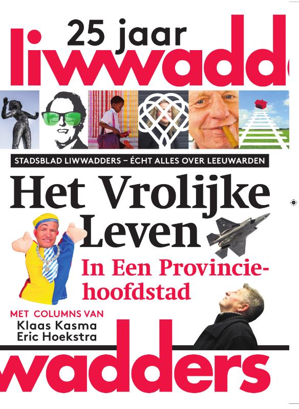 Omslag van Het vrolijke leven in een provinciehoofdstad