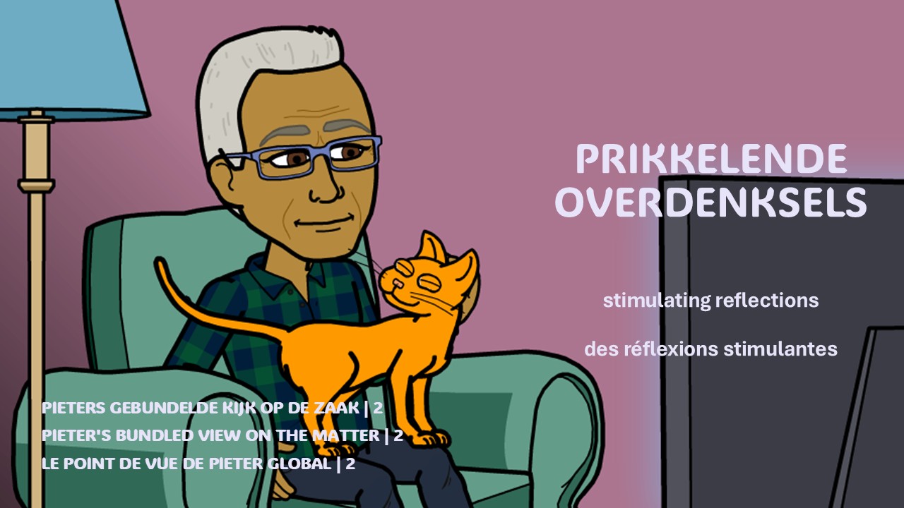 Omslag van PRIKKELENDE OVERDENKSELS