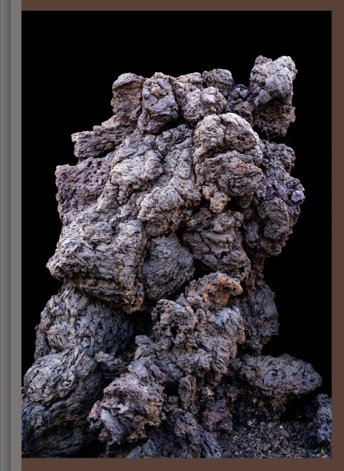 Omslag van Imaginary Ecologies